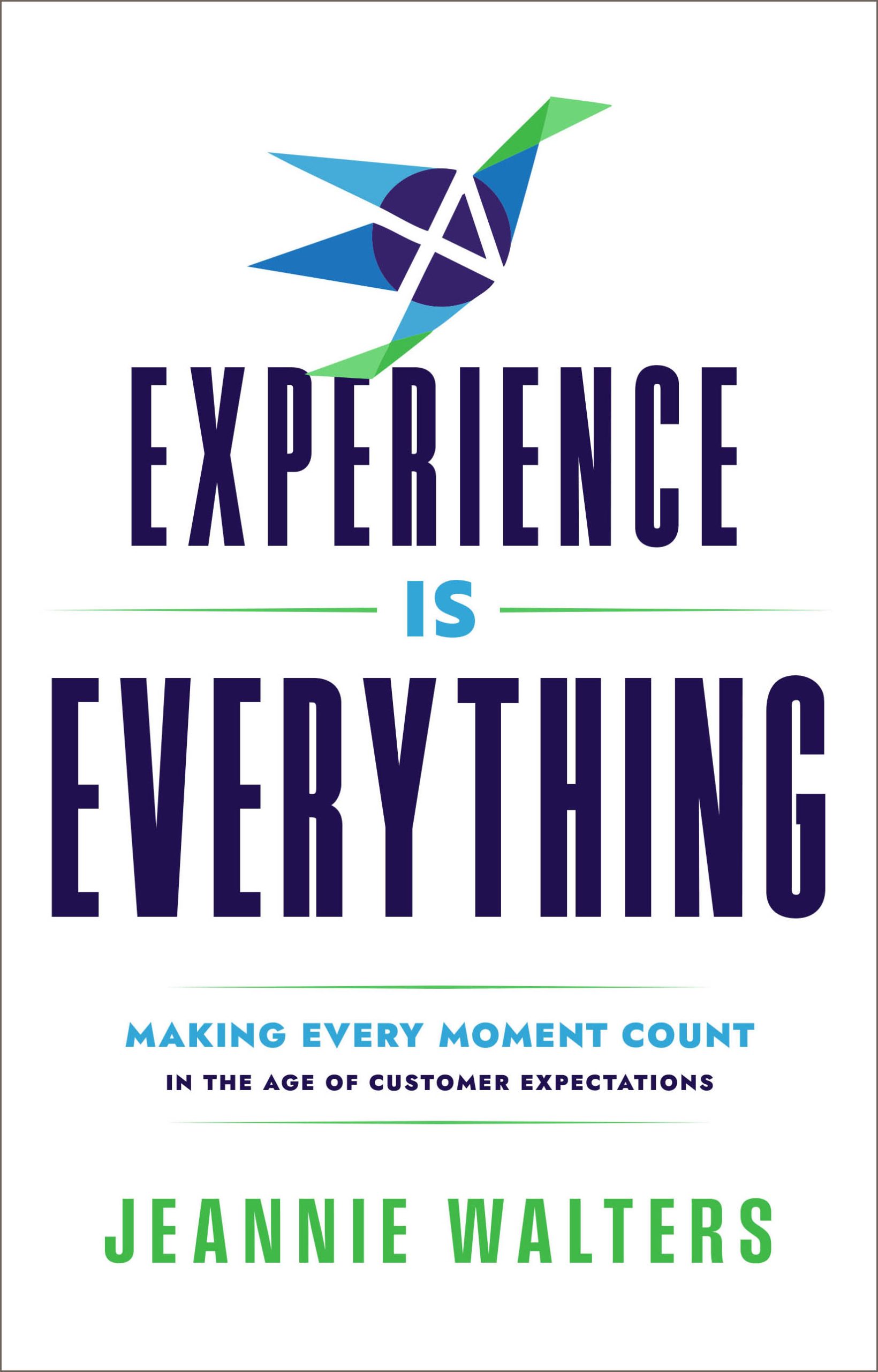 Cover design for the Experience is Everything book by Jeannie Walters.